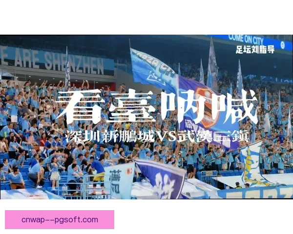 深圳新鹏城发布公告呼吁球迷理性观赛杜绝向场内投掷杂物行为